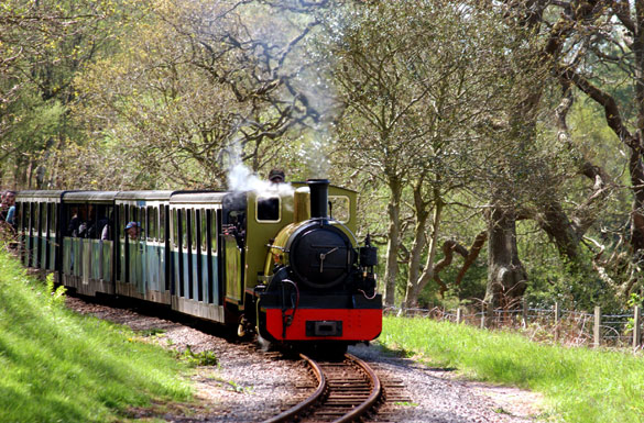 The ratty at Eskdale, in the Lake District